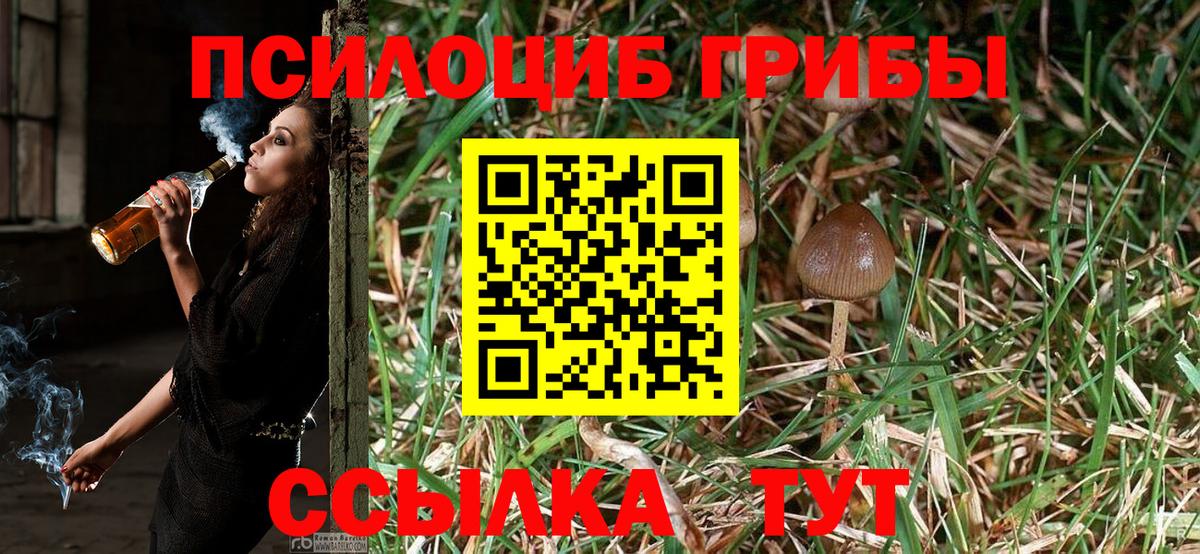 Галлюциногенные грибы прущие грибы  Псилоцибиновые грибы Psilocybine cubensis  Майский  Вход с VPN 